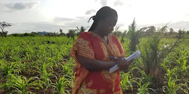 Dr Yeyinou Laura Estelle Loko does field work for her research. She is an Associate Professor of Zoology and Genetics at the National University of Sciences, Technologies, Engineering and Mathematics (UNSTIM) in the Republic of Benin. 