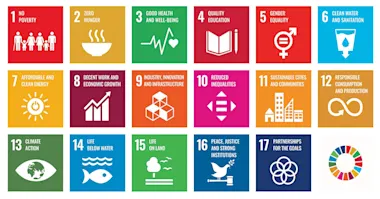 The 17 United Nations’ Sustainable Development Goals