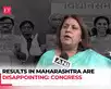 Maha results: 'We could have done better...', Congress reacts:Image