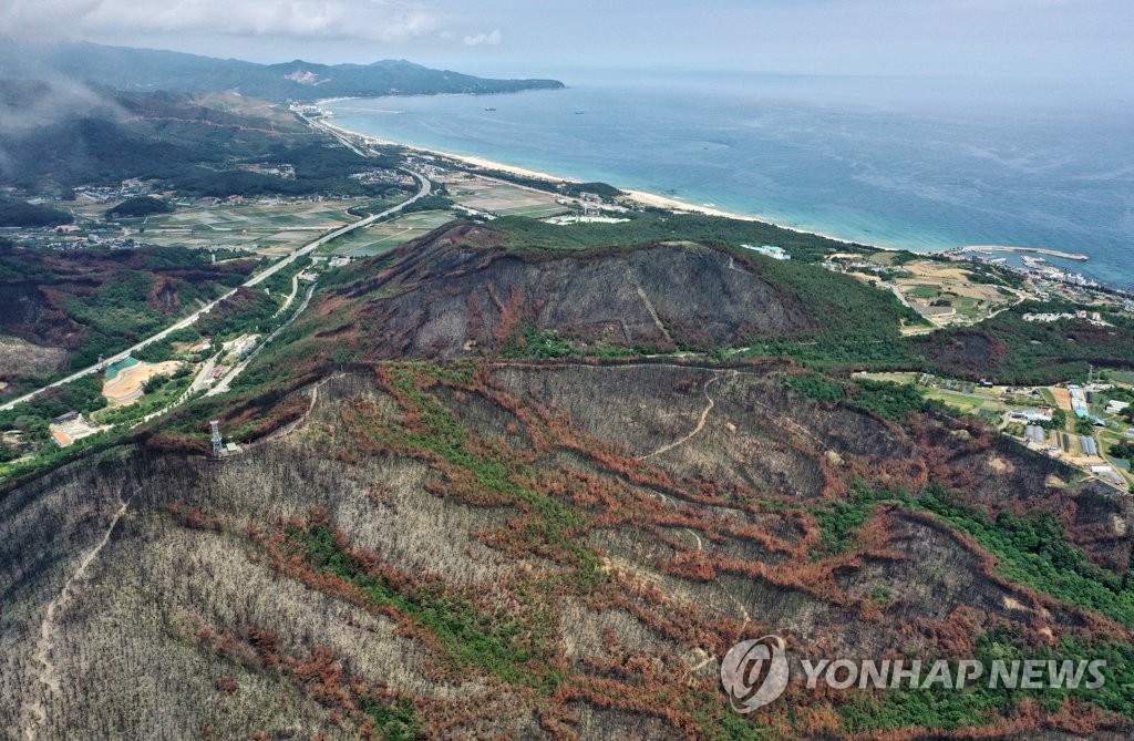 화마 흔적 고스란히 남은 산림