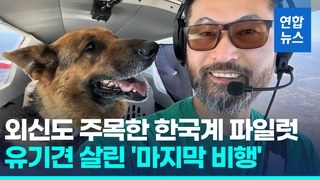 [영상] 한국계 파일럿, 구조비행 중 추락사…유기견 2마리는 극적 생존