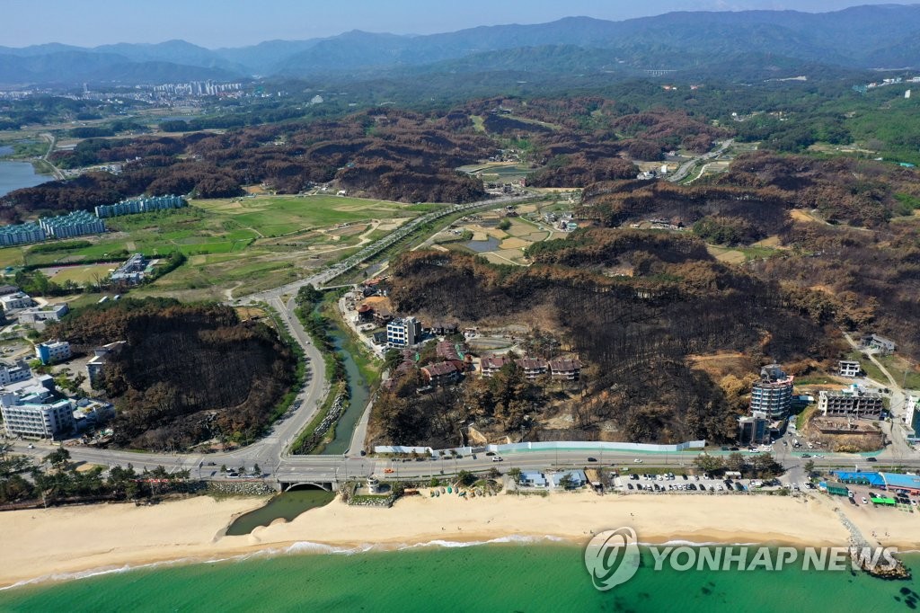 더욱 짙어진 강릉 산불의 흔적