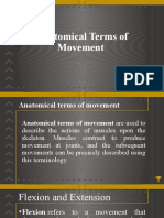 Anatomical Terms of Movement