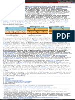 Oil Formation - Energy Education