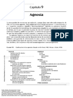 Neuropsicolog A CL Nica 162 To 187