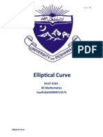 Elliptical Curve: BS Mathematics Hanif Ullah