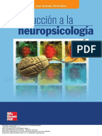 Introducci N A La Neuropsicologia