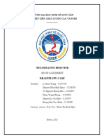 Group 2 Drainflow Case