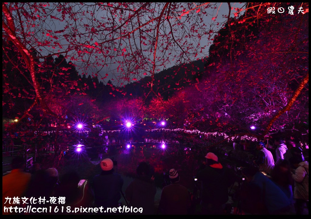 【農夫愛賞花】九族文化村櫻花祭‧炫爛漂亮的台灣第一夜櫻/日月潭纜車/一日遊 @假日農夫愛趴趴照