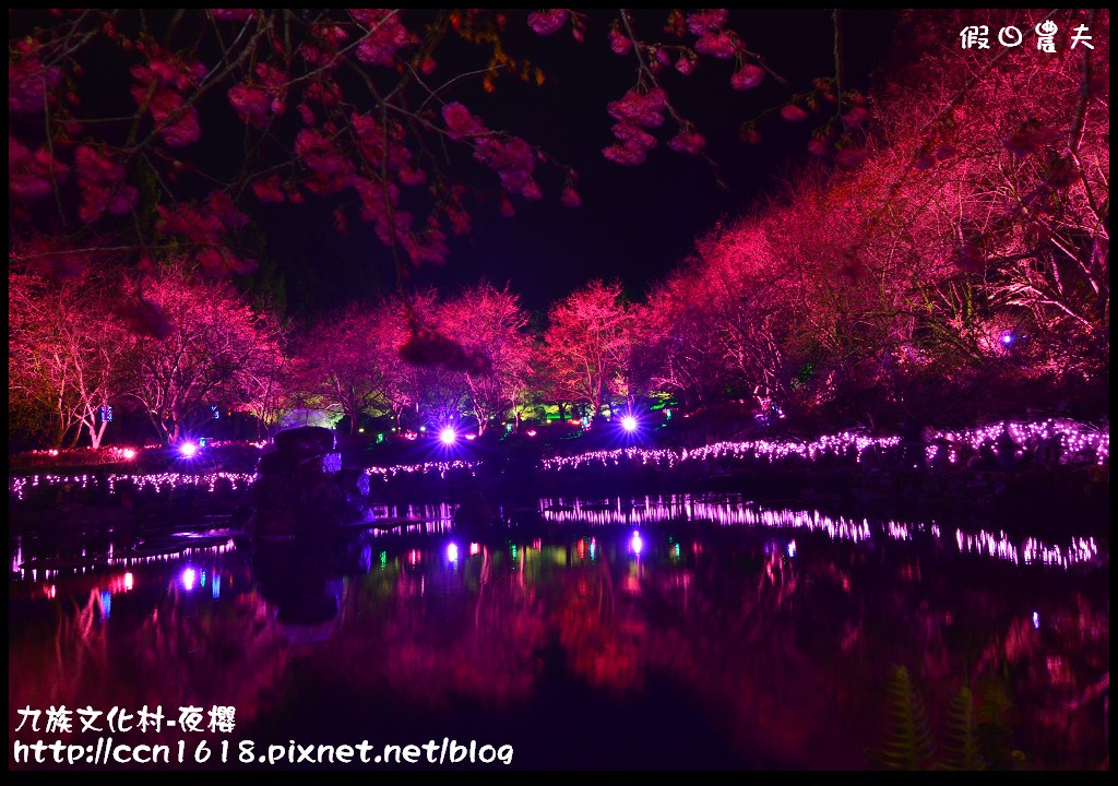 【農夫愛賞花】九族文化村櫻花祭‧炫爛漂亮的台灣第一夜櫻/日月潭纜車/一日遊 @假日農夫愛趴趴照