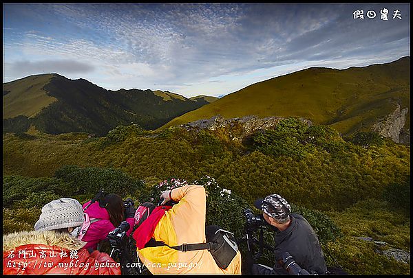 【南投景點】石門山拍玉山杜鵑＆合歡山常見鳥類 @假日農夫愛趴趴照