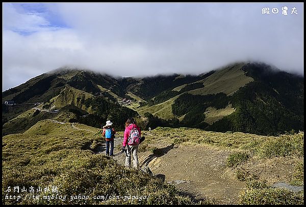 【南投景點】石門山拍玉山杜鵑＆合歡山常見鳥類 @假日農夫愛趴趴照