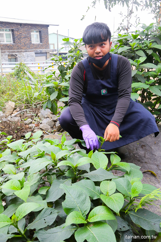 品嘗道地魯凱部落的風味，一起體驗手作吉拿富、野生愛玉吧!!屏東霧台神山部落中的廚藝學校 「Sama食堂」