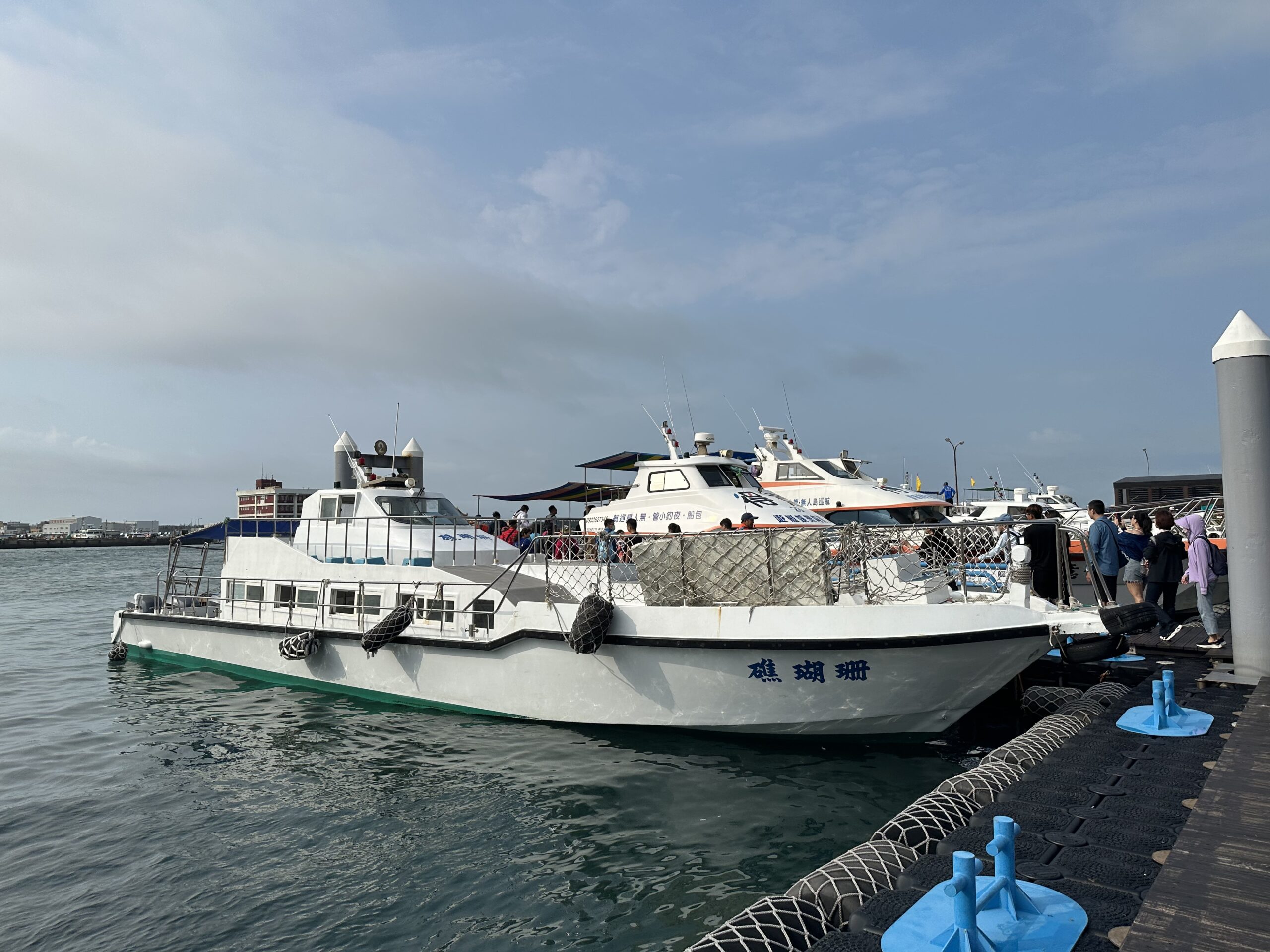 澎湖「春之賞鷗季」南海跳島賞鷗遊程~七美島/東吉嶼/南方四島追燕鷗、澎湖藍洞秘境、雙心石滬一次看!