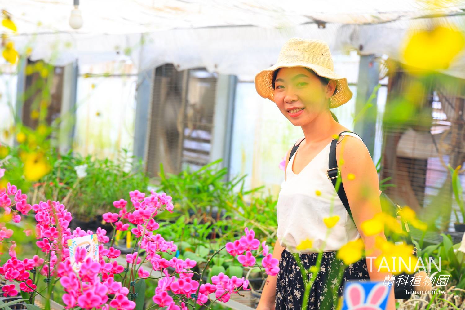 台南私房景點~免費入園!由蘭花教父一手創立的「蘭科植物園」一起來感受蘭花的魅力，還有賴清德蘭、李登輝蘭可以看!