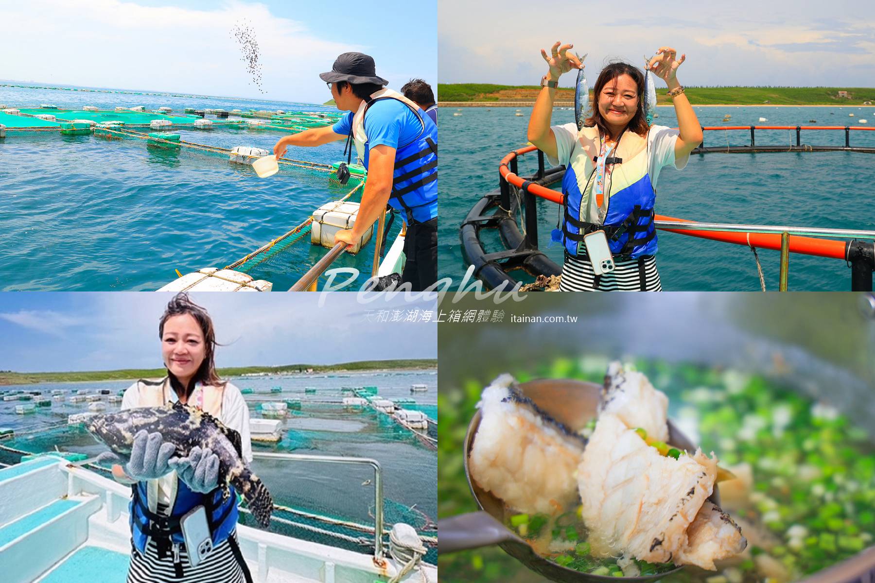 澎湖旅遊新玩法~一日海上箱網作業員初體驗!搭船出海體驗餵魚秀跟龍膽石斑近距離接觸玩抱抱、新鮮現煮龍膽石斑魚湯免費喝!!澎湖海上牧場「天和澎湖海上箱網」導覽體驗