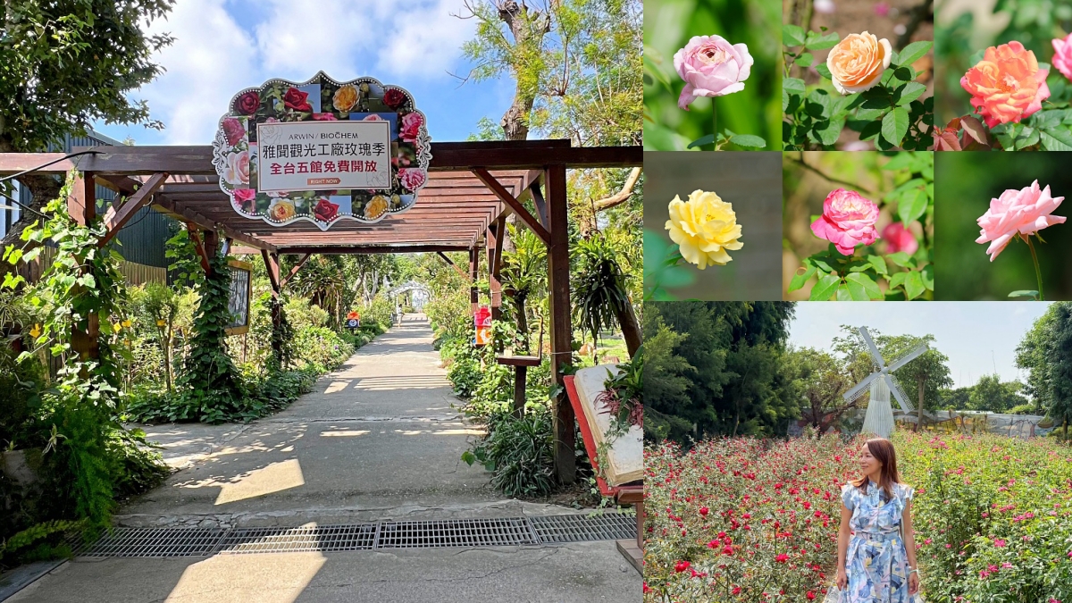 苗栗三義｜雅聞香草植物工廠，免費參觀，風車玫瑰花園、香草下午茶，秒飛歐洲