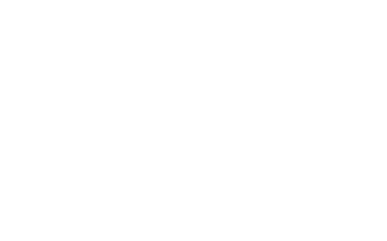 Logo INSA Toulouse