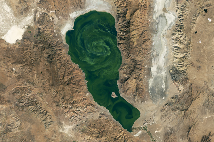 Pyramid Lake in Bloom Blooms of cyanobacteria develop in the brackish waters of this Nevada lake nearly every year.