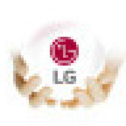 LG Logo