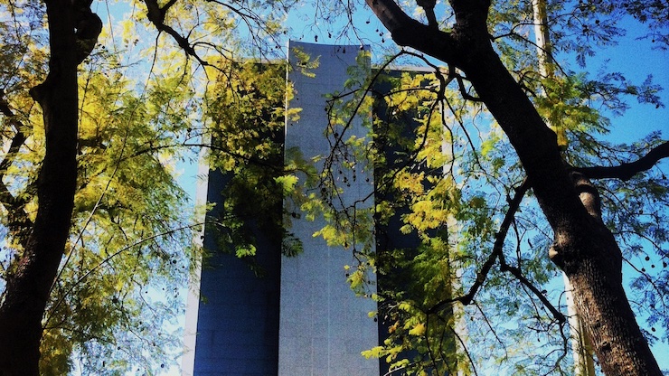 tall building seen through trees