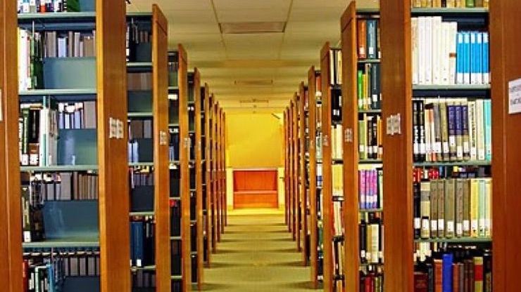 two sets of library shelves