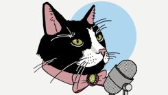 The Purrrcast podcast logo