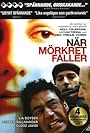 När mörkret faller (2006)