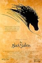 The Black Stallion (1979)