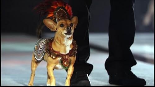 Beverly Hills Chihuahua 2