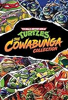 Teenage Mutant Ninja Turtles: The Cowabunga Collection