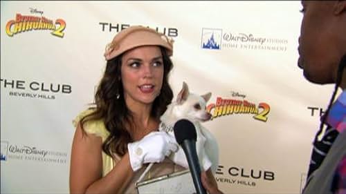 Beverly Hills Chihuahua 2