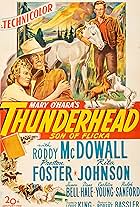 Thunderhead: Son of Flicka