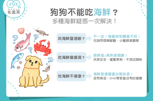 狗可不可以吃海鮮