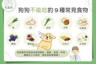 狗狗不能吃的9種常見食物