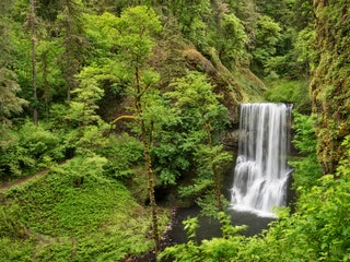 Image may contain Water Outdoors Nature River Waterfall Plant and Vegetation