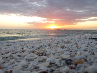 Bowmans Beach Sanibel Island Florida