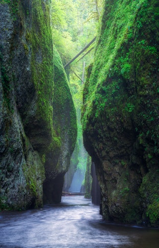 Oneonta Gorge Oregon