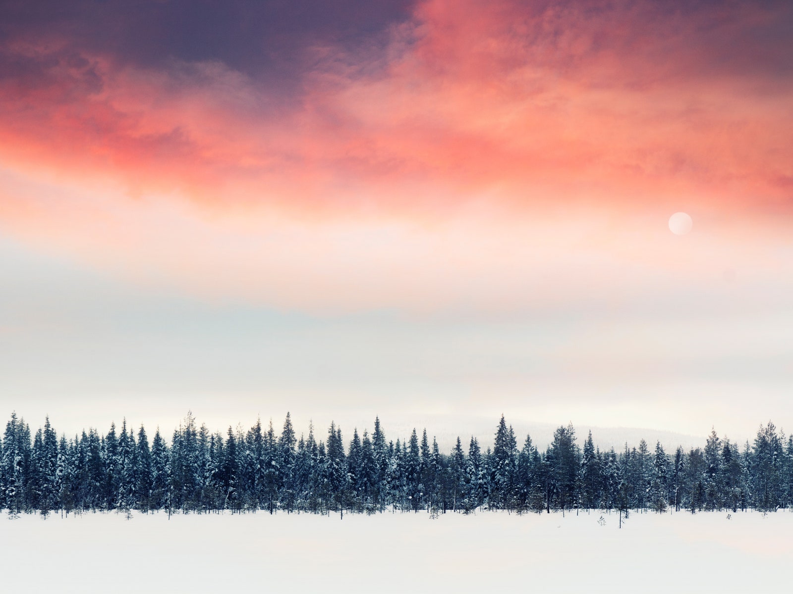 Chasing Winter in Lapland, Finland