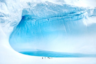 Antarctica