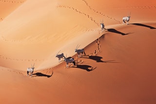 Namib Desert Namibia