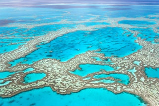 The Great Barrier Reef Australia