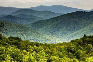 Shenandoah National Park Virginia