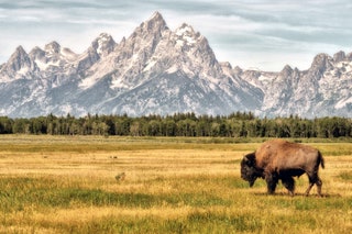 Grand Teton National Park