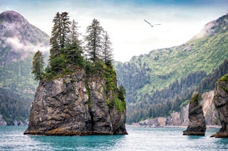 Kenai Fjords Alaska