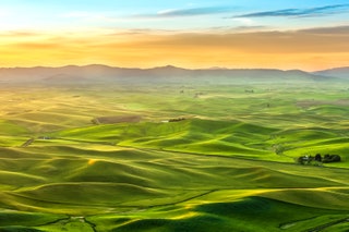 The Palouse