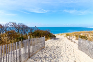 Cape Henlopen Delaware