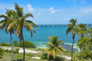 Beach and palm trees at Bahia Honda Key