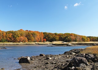 Image may contain Water Nature Outdoors Shoreline Promontory Land Ocean Sea Tree Plant Gravel Road and Dirt Road