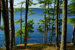 Kabetogama State Forest Voyageurs National Park Minnesota